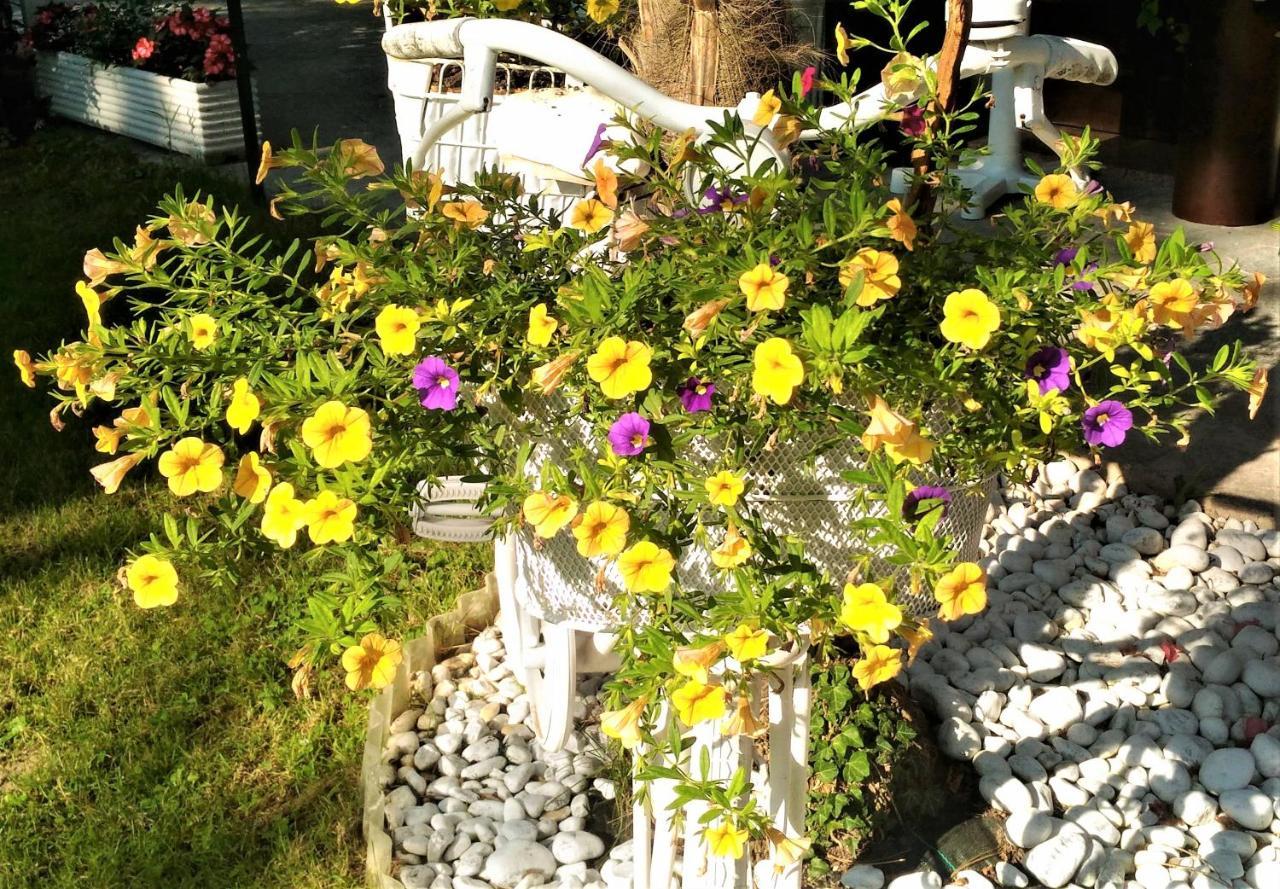 Green Holiday Villa ビビオーネ エクステリア 写真
